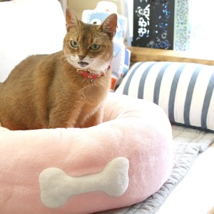 아페토 강아지 고양이 스탠다드 도넛 방석 핑크 L