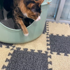 사막화방지 퍼즐 코일 고양이 모래매트